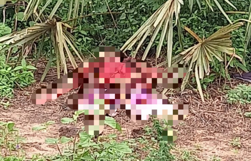 Corpo de homem desaparecido há um mês é encontrado em decomposição em Parnaíba