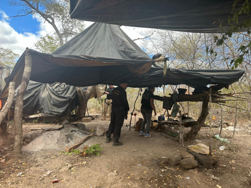 Cinco pessoas são resgatas de trabalho análogo à escravidão no interior do Piauí - (Divulgação/Polícia Federal)