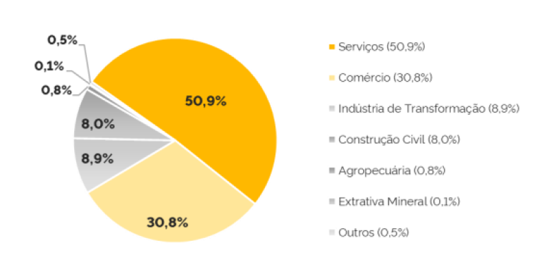 No cenário econômico brasileiro predominam as atividades do setor terciário da economia, relativas ao comércio e prestação de serviços. - (Mapa de Empresas )
