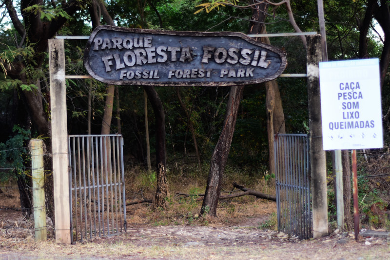 Floresta Fóssil de Teresina - (Jailson Soares/ODIA)