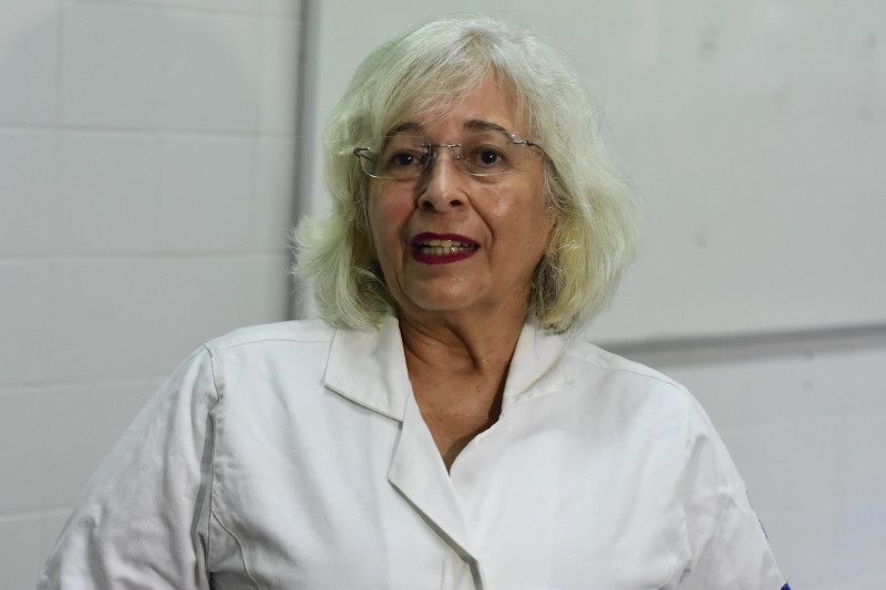 Professora Christina Muratori, coordenadodo NUEPPA - (Jailson Soares/ODIA)