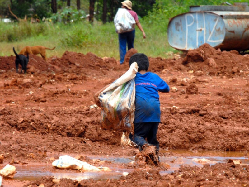 Nordeste tem meio milhão de crianças e adolescentes no trabalho infantil