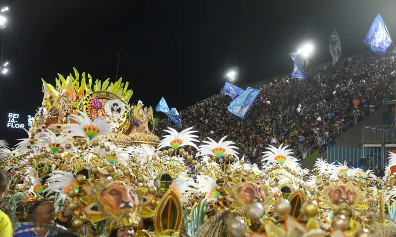 Beija-Flor é a grande campeã do Carnaval do Rio de Janeiro - (Tomaz Silva/Agência Brasil)