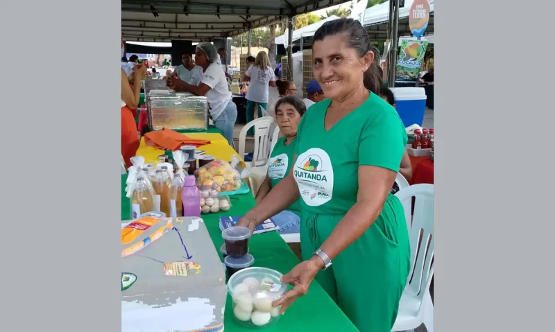 Agricultores familiares aumentam renda em 30% com programa federal