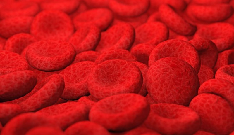 O que é mielofibrose? Anvisa aprova novo tratamento para doença rara do sangue