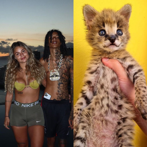 Rapper Oruam presenteia namorada com gato de R$ 120 mil no dia dos namorados