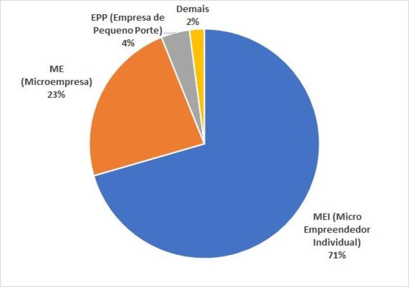 Gráfico representa o total de empresas abertas em 2023 por porte empresarial, no Piauí. - (Gov.Pi Empresas)