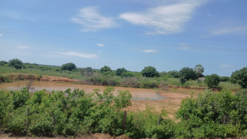 Riachos e represas estão com nível de água baixo e Piauí passa por "seca verde"