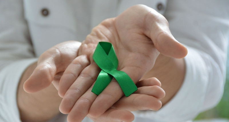 Setembro Verde conscientiza sociedade sobre doação de órgãos   - (Reprodução/Sociedade dos Advogados)