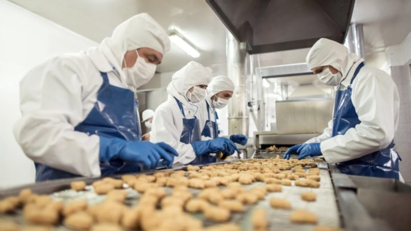Quase 50% do faturamento industrial no Piauí vem da fabricação de alimentos - (Reprodução )