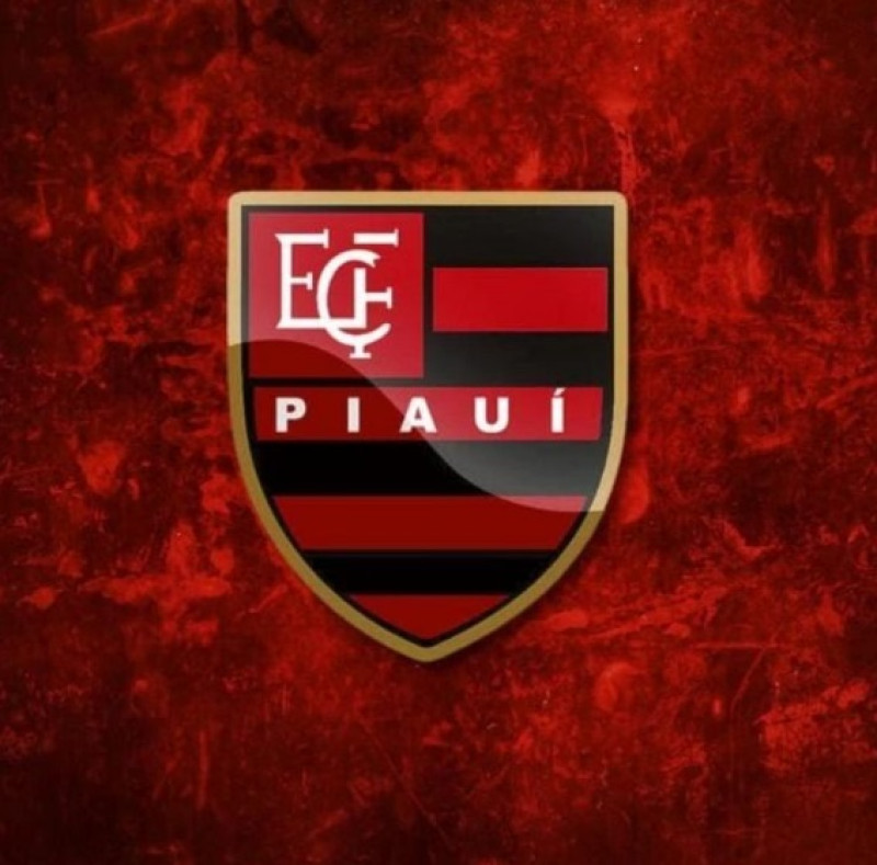 Visando novas eleições, interventor do Flamengo-PI convoca sócios para recadastramento