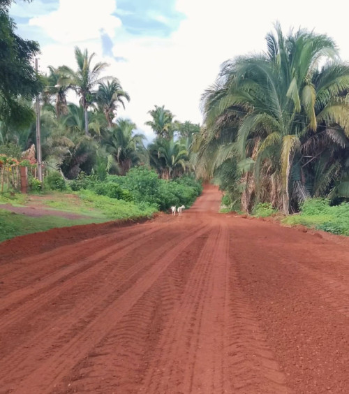 ‘Caminhos da União’ transforma mobilidade e aproxima comunidades rurais dos serviços públicos e do comércio - (Divulgação)