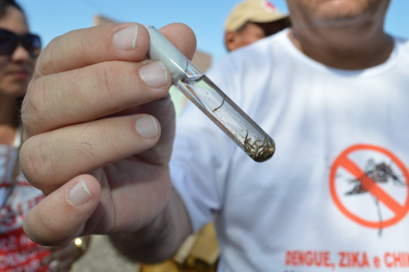 Mais uma morte por dengue é confirmada no Sul do Piauí; quatro óbitos em dois meses