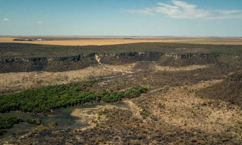 Piauí terá força-tarefa para combater o desmatamento no Cerrado