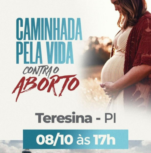 Ciro Nogueira convoca população para “caminhada contra o aborto” em Teresina
