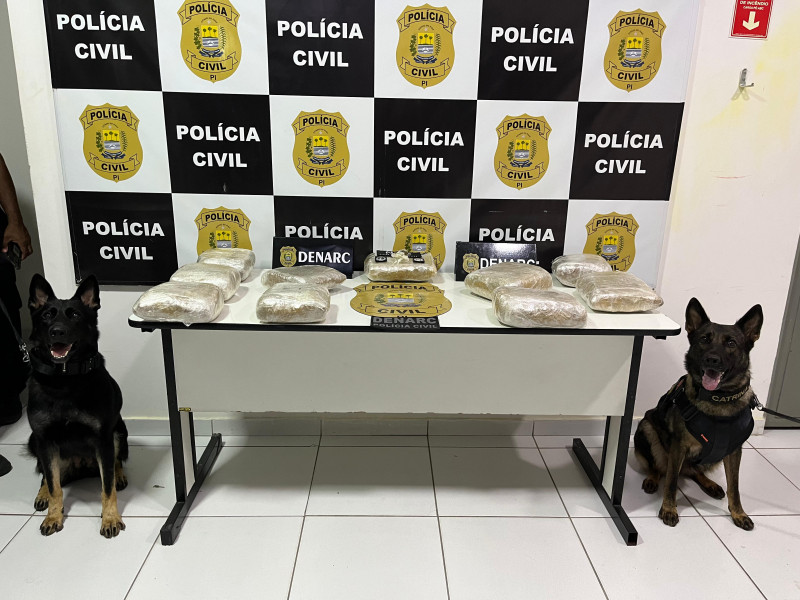 Polícia apreende droga avaliada em quase meio milhão de reais em Teresina - (Divulgação/Denarc)