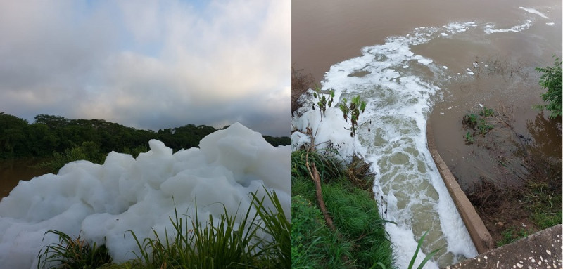 Espumas se formam no rio Poti e podem fazer mal aos peixes e à população