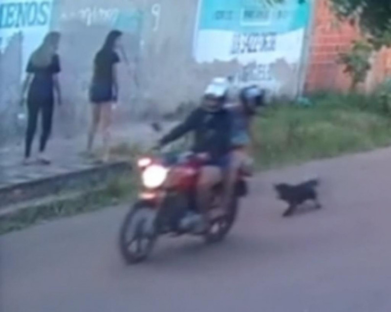 Cachorra é arrastada por motocicleta pilotada por mãe e filha em Picos - (Reprodução/Redes Sociais)
