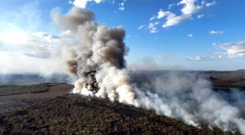 Incêndio na divisa entre Piauí e Ceará - (Reprodução / Redes Sociais)