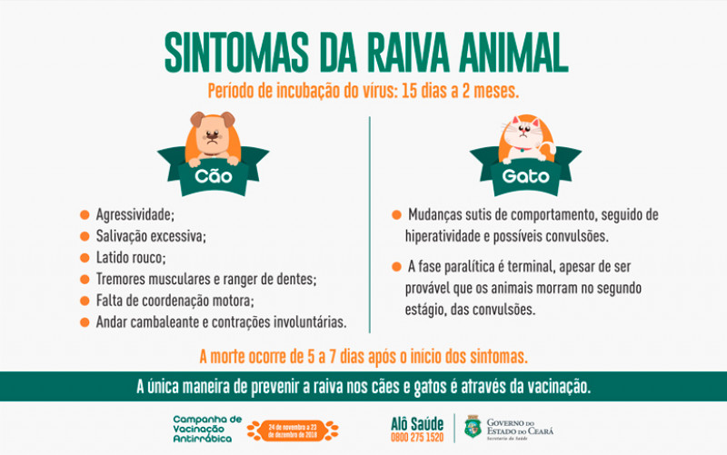 Quais são os sintomas de raiva em animais? - (Reprodução/Governo do Ceará )