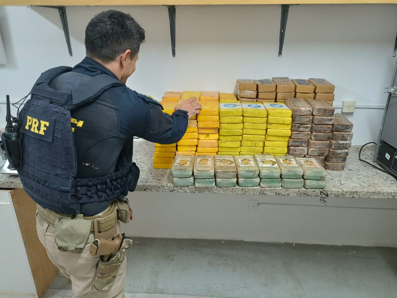 Quase 200 tabletes de cocaína são apreendidos em carga de carne na BR 343