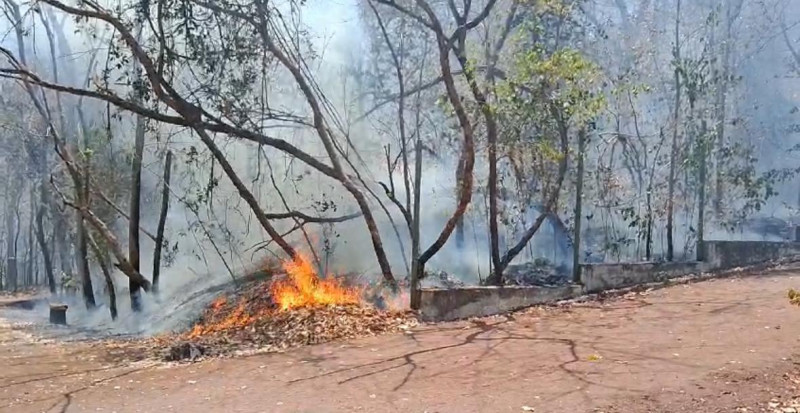 Teresina: incêndio é registrado no Parque da Cidade neste domingo (1); veja vídeo