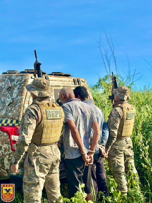 Polícia desarticula plantação com três hectares de maconha no Sul do Piauí - (Divulgação/PMPI)