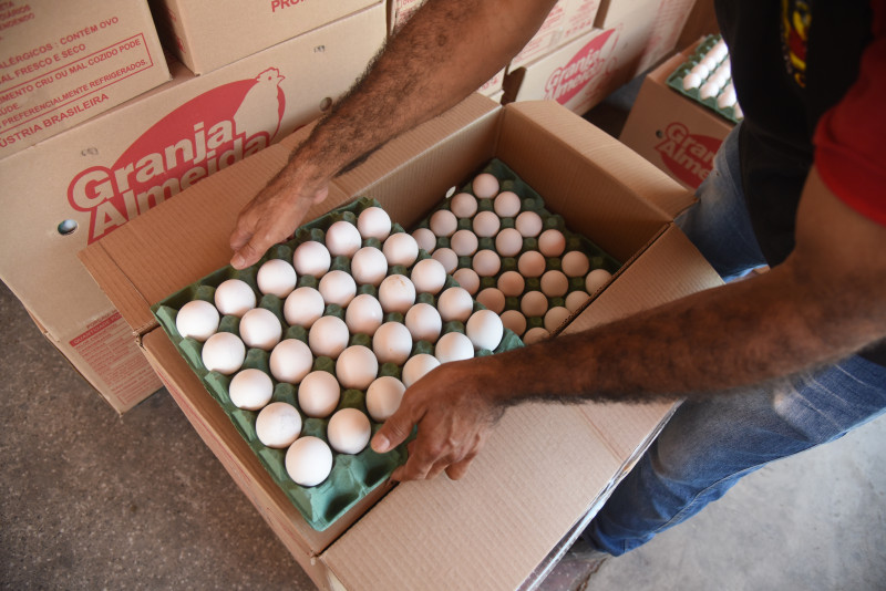 Preço do ovo sobe em Teresina  - (Assis Fernandes/ODIA)