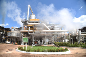Comvap inicia moagem de 1,5 milhão de toneladas de cana e reforça geração de empregos no Piauí