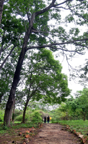 Parque das Crianças, opção de lazer para curtir férias em meio à natureza