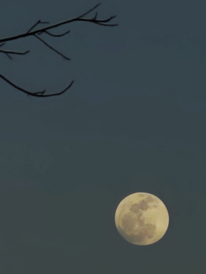 Superlua Azul: veja fotos do fenômeno no céu de Teresina