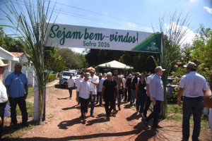 Comvap inicia moagem de 1,5 milhão de toneladas de cana e reforça geração de empregos no Piauí