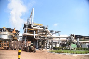 Comvap inicia moagem de 1,5 milhão de toneladas de cana e reforça geração de empregos no Piauí