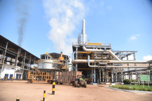 Comvap inicia moagem de 1,5 milhão de toneladas de cana e reforça geração de empregos no Piauí