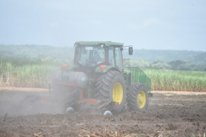 Comvap inicia moagem de 1,5 milhão de toneladas de cana e reforça geração de empregos no Piauí