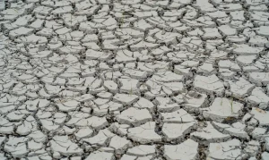 Governo Federal reconhece situação de emergência em cidades do Piauí; veja lista
