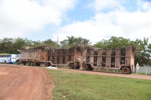 Comvap inicia moagem de 1,5 milhão de toneladas de cana e reforça geração de empregos no Piauí