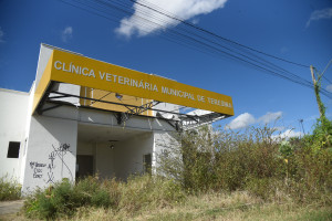 Clínica Veterinária de Teresina está abandonada após impasse sobre administração do prédio