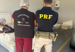 PRF apreende 650 kg de queijo e pescado sem documentação no Piauí