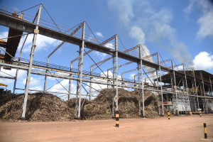 Comvap inicia moagem de 1,5 milhão de toneladas de cana e reforça geração de empregos no Piauí