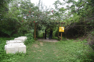 Parque das Crianças, opção de lazer para curtir férias em meio à natureza