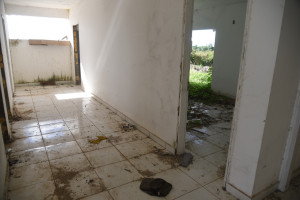 Clínica Veterinária de Teresina está abandonada após impasse sobre administração do prédio