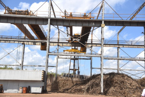 Comvap inicia moagem de 1,5 milhão de toneladas de cana e reforça geração de empregos no Piauí