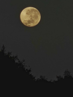 Superlua Azul: veja fotos do fenômeno no céu de Teresina