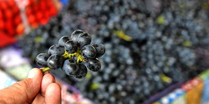 Frutas e verduras estão mais caras devido ao período chuvoso