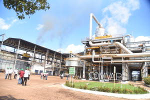 Comvap inicia moagem de 1,5 milhão de toneladas de cana e reforça geração de empregos no Piauí