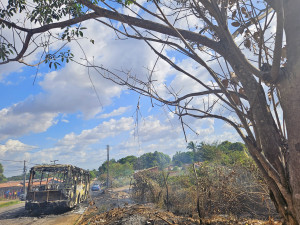 Ônibus coletivo pega fogo e fica completamente destruído na Pedra Mole